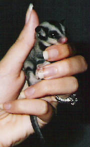 babies1and2inrhandsmall.jpg